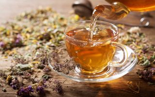 Как принимать лечебный травяной чай?