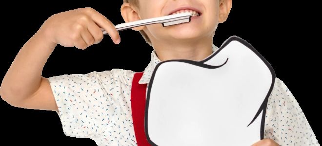 Шок-цена: детская стоматология некрасовка москва — лучшее вложение в будущее